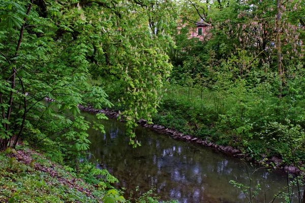 Belles Couleurs Nature Dans Parc Printemps — Photo