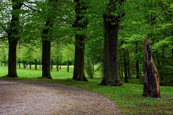 Schöne Farben Der Natur Frühlingspark — Stockfoto