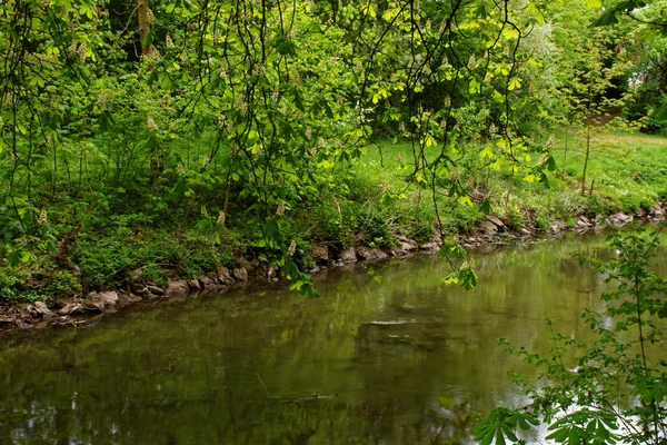 Prachtige Kleuren Van Natuur Het Spring Park — Stockfoto