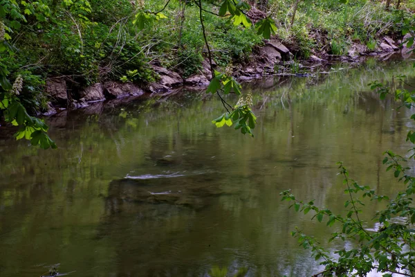 Prachtige Kleuren Van Natuur Het Spring Park — Stockfoto