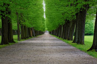 bahar Park doğanın güzel renkleri