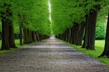 bahar Park doğanın güzel renkleri