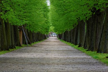 bahar Park doğanın güzel renkleri