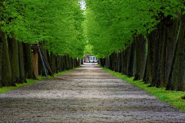 bahar Park doğanın güzel renkleri