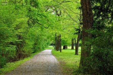 bahar Park doğanın güzel renkleri