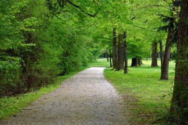 bahar Park doğanın güzel renkleri
