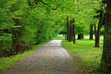 bahar Park doğanın güzel renkleri