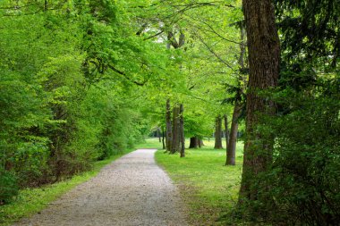 bahar Park doğanın güzel renkleri