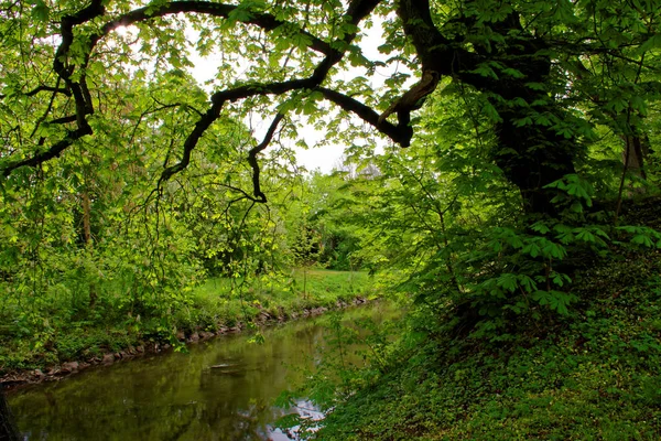 Belles Couleurs Nature Dans Parc Printemps — Photo