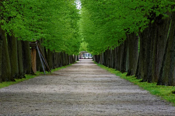 bahar Park doğanın güzel renkleri