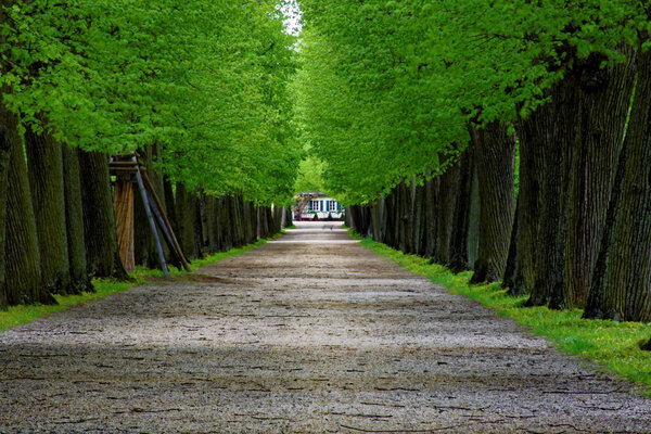 beautiful colors of nature in the spring Park