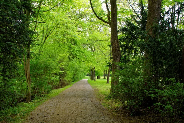 Prachtige Kleuren Van Natuur Het Spring Park — Stockfoto