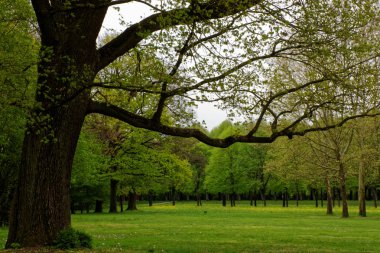 bahar Park doğanın güzel renkleri