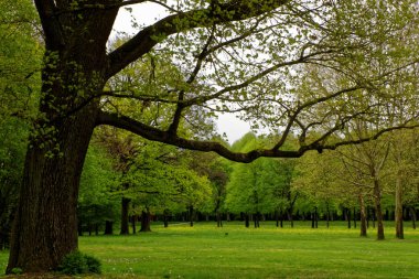 bahar Park doğanın güzel renkleri