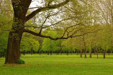 bahar Park doğanın güzel renkleri
