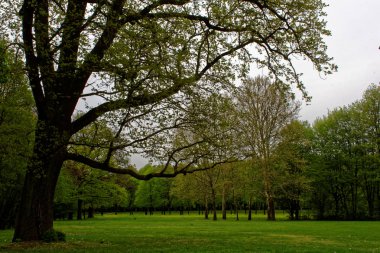 bahar Park doğanın güzel renkleri
