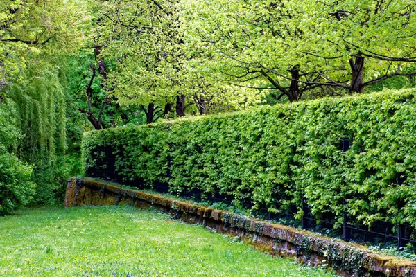 Vackra Naturfärger Vår Parken — Stockfoto