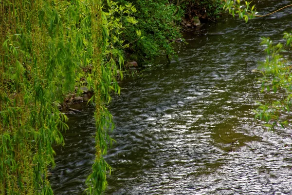 Belles Couleurs Nature Dans Parc Printemps — Photo