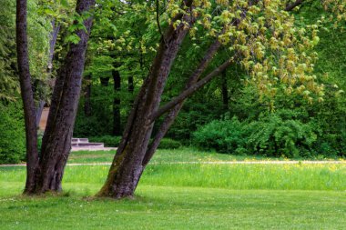 bahar Park doğanın güzel renkleri