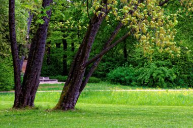 bahar Park doğanın güzel renkleri