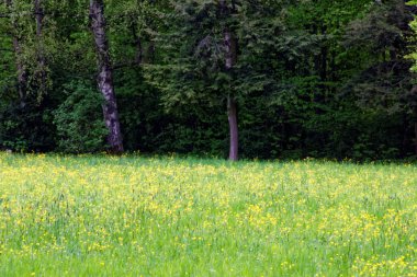 bahar Park doğanın güzel renkleri