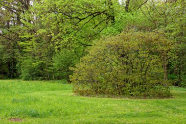 bahar Park doğanın güzel renkleri