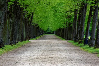 bahar Park doğanın güzel renkleri