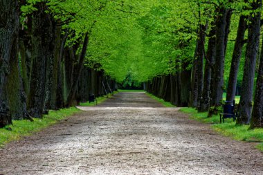 bahar Park doğanın güzel renkleri
