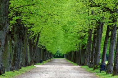 bahar Park doğanın güzel renkleri