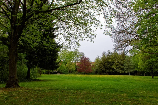 Belles Couleurs Nature Dans Parc Printemps — Photo