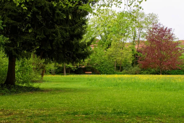 Hermosos Colores Naturaleza Parque Primavera — Foto de Stock