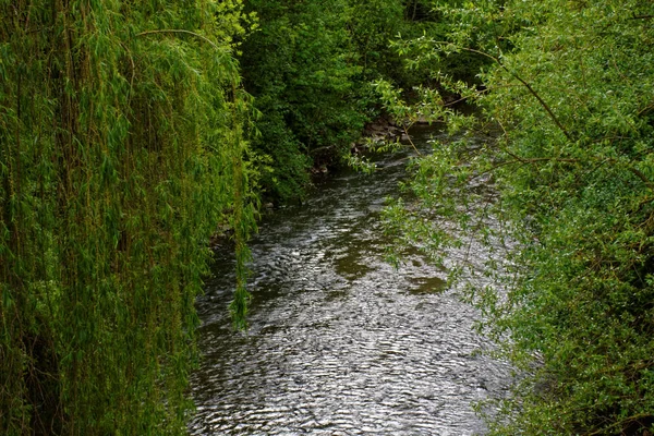 Prachtige Kleuren Van Natuur Het Spring Park — Stockfoto