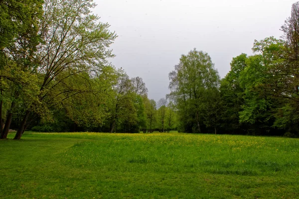 Nádherné Přírodní Barvy Jarním Parku — Stock fotografie