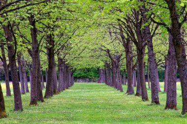 bahar Park doğanın güzel renkleri