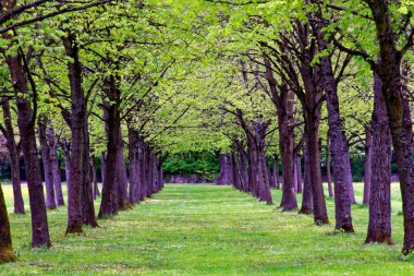 bahar Park doğanın güzel renkleri