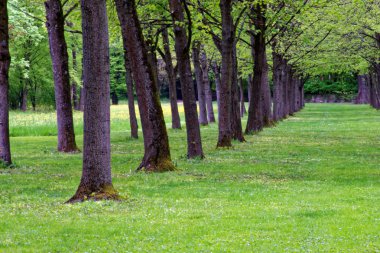 bahar Park doğanın güzel renkleri