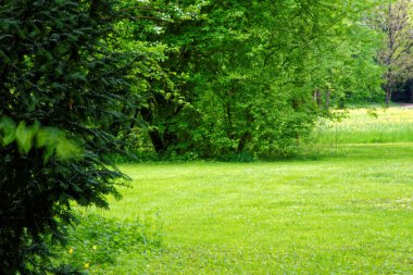 bahar Park doğanın güzel renkleri