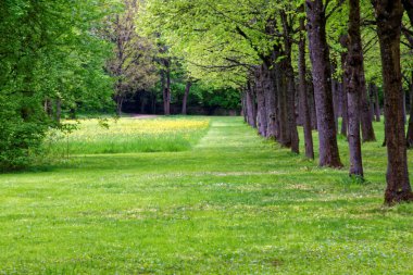 bahar Park doğanın güzel renkleri