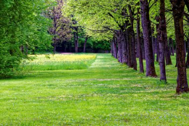 bahar Park doğanın güzel renkleri