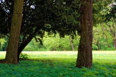 bahar Park doğanın güzel renkleri