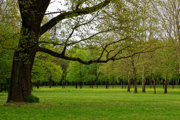 bahar Park doğanın güzel renkleri