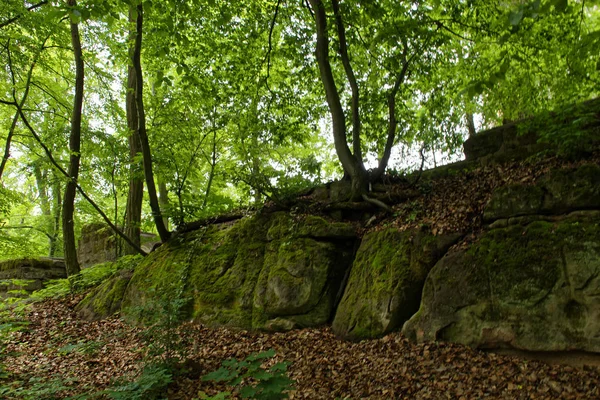 Schöne Aussicht Auf Die Ruinen Der Alten Burg Und Ihre — Stockfoto