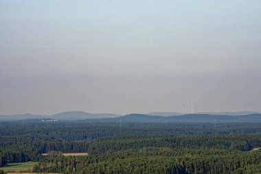 Yağmurdan sonra parlak güneşli bir günde yoğun orman