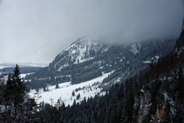 Bosques Montañas Schwangau Imágenes De Stock Sin Royalties Gratis