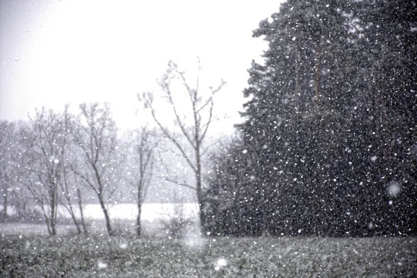 Winterlandschappen Van Beieren — Stockfoto