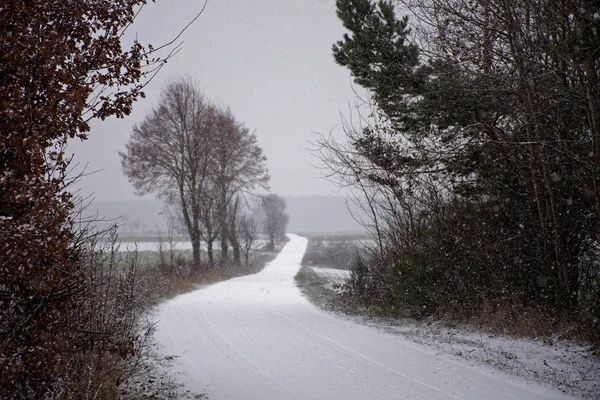 バイエルン州の冬の風景 ロイヤリティフリーのストック画像