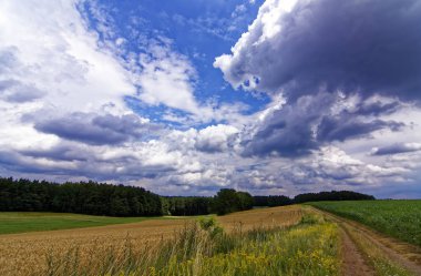 ormana yakın alan üzerinde bulutlar ile güzel gökyüzü 