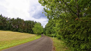 ormana yakın alan üzerinde bulutlar ile güzel gökyüzü 