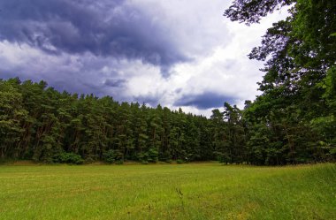 ormana yakın alan üzerinde bulutlar ile güzel gökyüzü 