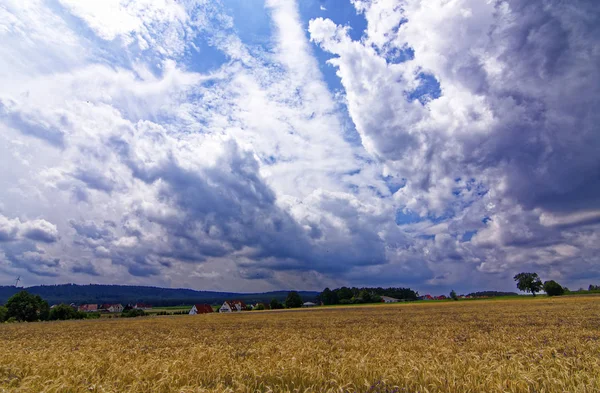Hermoso Cielo Con Nubes Sobre Campo Cerca Del Bosque — Foto de Stock